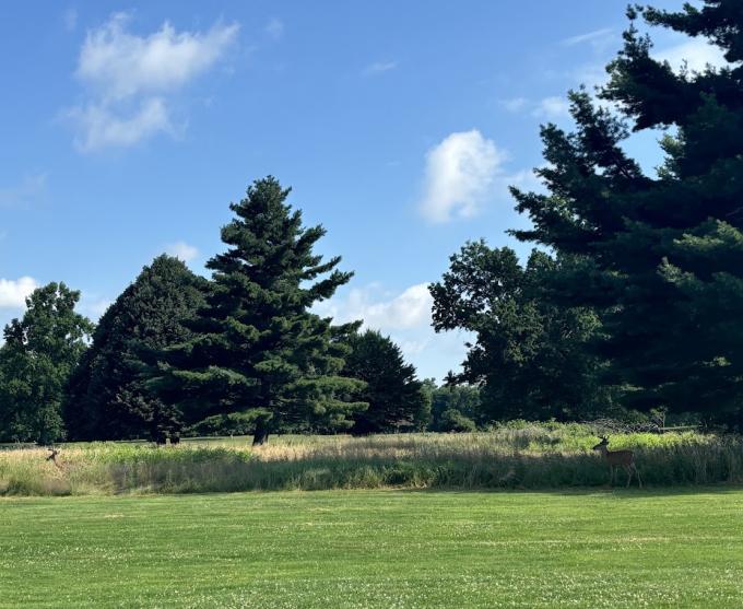 A photo from the Genesee Valley Park Golf Course.